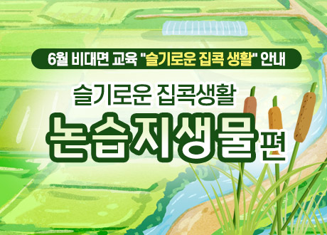 슬기로운 집콕생활 논습지생물편 