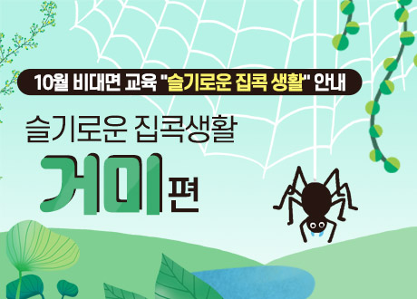 슬기로운 집콕생활  거미편