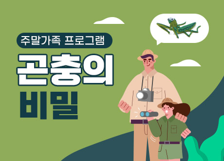 곤충의 비밀