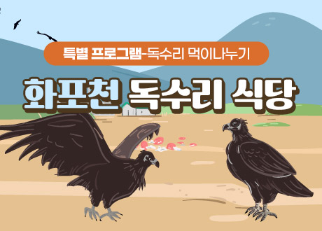 화포천 독수리 식당