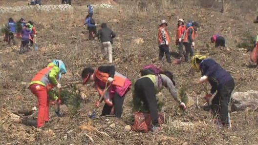 20130325-제68회시민과함께하는나무심기행사