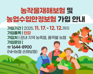 농작물재해보험 및 농업수입안정보험 가입 안내
가입기간 : 2025. 11. 17. ~ 12. 12.까지
가입품목 : 단감
가입처 : 관내 지역 농축협, 품목별 농협
가입문의 : ☎ 1644-8900(NH농협 손해보험)
