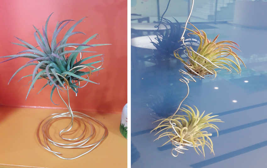 이오난사 와이어