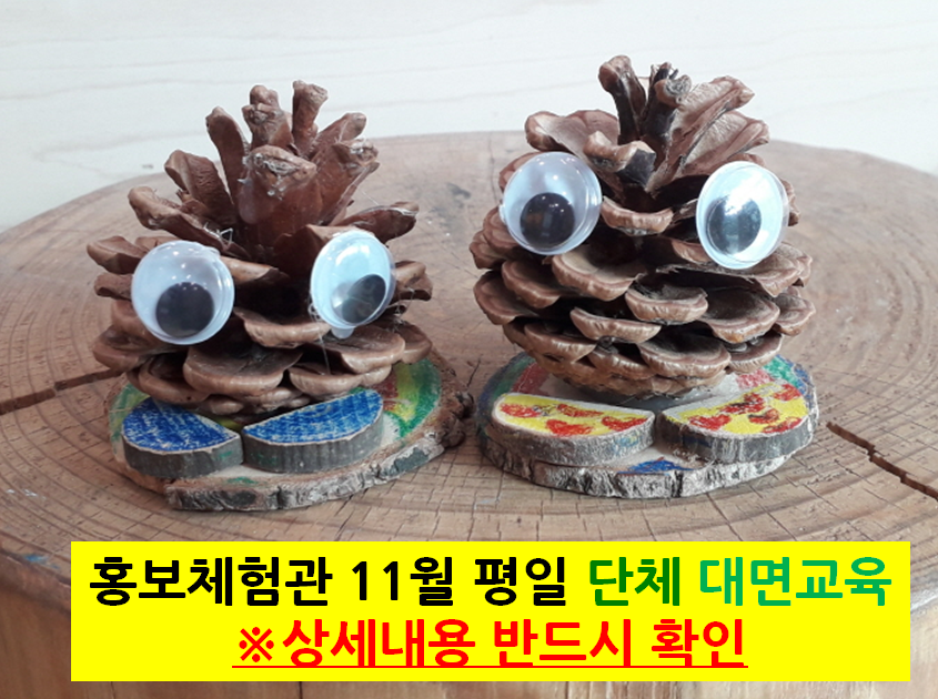 11월 홍보관 대면