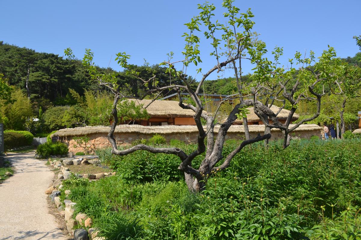 봉하마을 노무현 대통령 생가