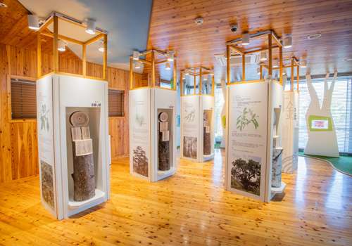 Gimhae Wood Culture Museum, 1st Floor Permanet Exhibition Room
