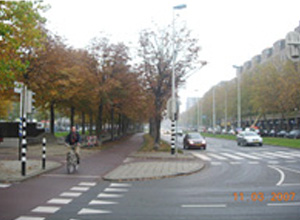 로테르담(간선도로변)