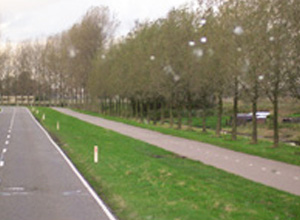 암스테르담(자전거전용도로)