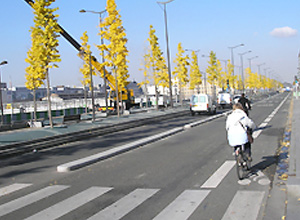 버스전용차로형 자전거도로