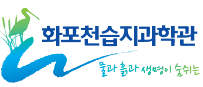 화포천습지과학관 물과 흙과 생명이 숨쉬는