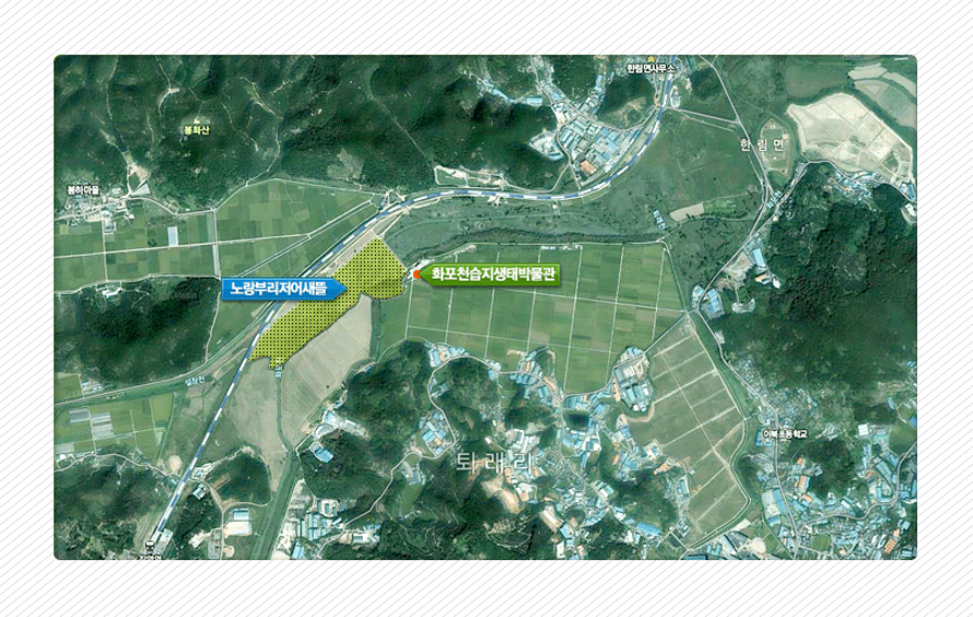 항공사진으로 본 노랑부리저어새뜰 위치