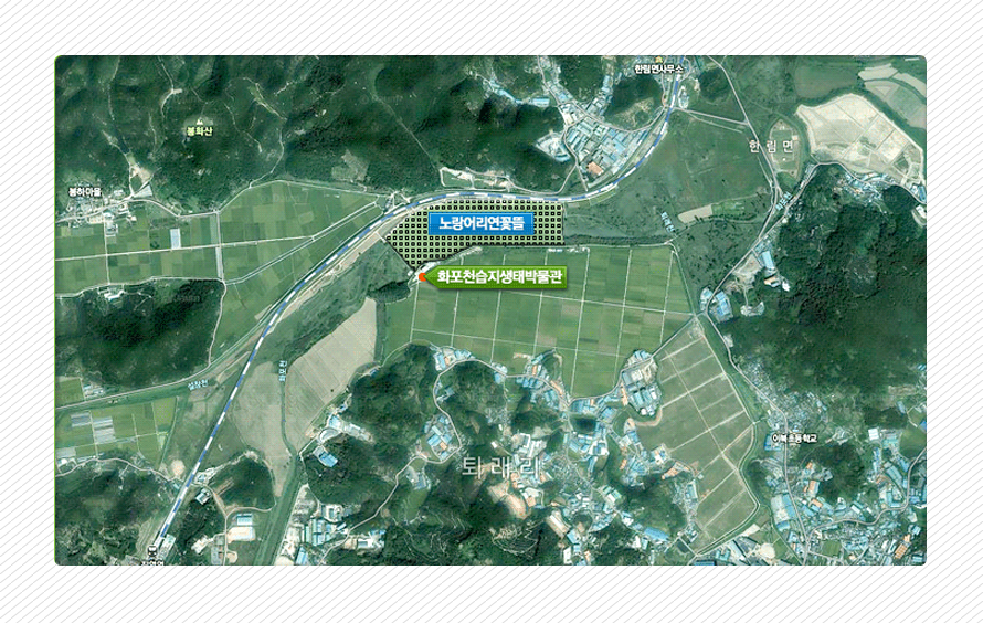 항공사진으로 본 노랑어리연꽃뜰 위치