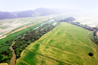 상공에서 바라본 큰기러기뜰 모습