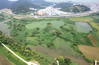 상공에서 바라본 창포뜰 모습