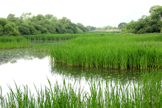 다른 각도에 창포뜰 모습