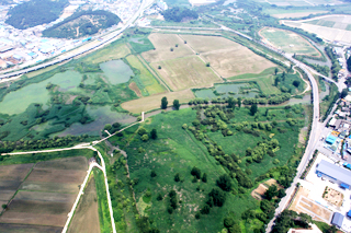 상공에서 바라본 물억새뜰 모습