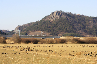 큰기러기뜰 전경