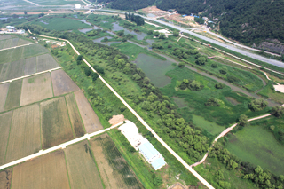 상공에서 바라본 노랑어리연꽃뜰 모습