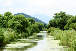 항공사진으로 본 노랑어리연꽃뜰 위치