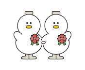 상황별이미지 - 카네이션