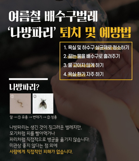 여름철 배수구벌레 '나방파리' 퇴치 및 예방법

1. 욕실 및 하수구 살균제로 청소하기
2. 끓는 물을 배수구로 흘려주기
3. 물 고이지 않게 하기
4. 욕실 환기 자주 하기

나방파리?
알 - 1유충 - 번데기 - 2성충
나방파리는 생긴 것이 징그러운 벌레지만,
모기처럼 피를 빨아먹거나
파리처럼 직접적으로 병균을 옮기지 않습니다.
미관상 좋지 않다는 점 외에 사람에게 직접적인 피해가 없습니다