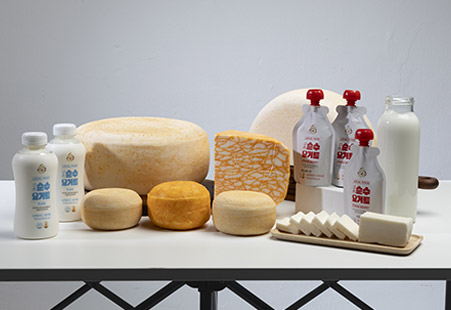 김해치즈/요구르트