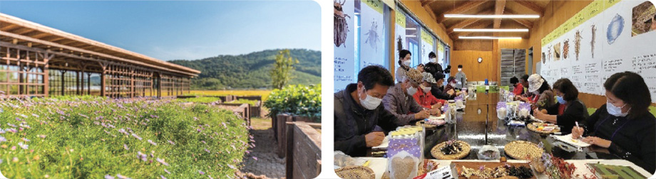 친환경 봉하 체험 프로그램