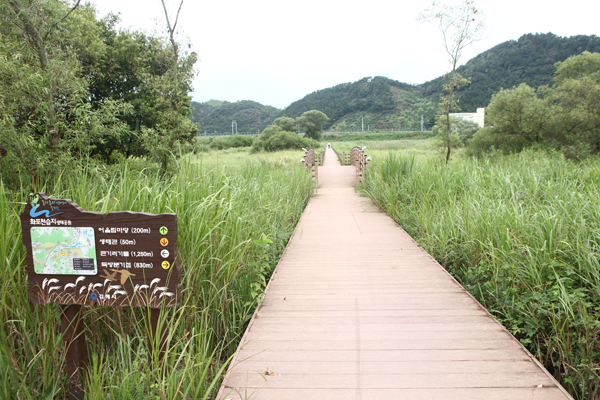 봉하마을 대통령의 길