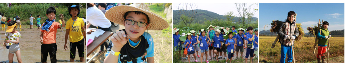 봉하마을로 떠나는 친환경 논 습지 체험학습 사진