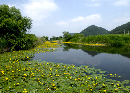 화포천습지생태공원