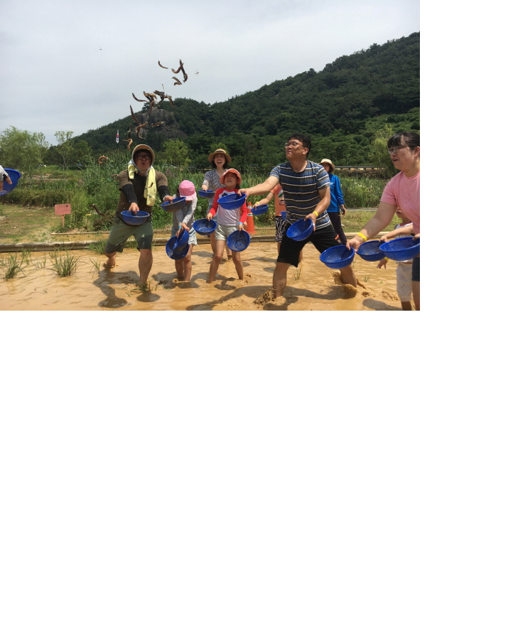 7월 미꾸라지잡기 체험 ~  사진