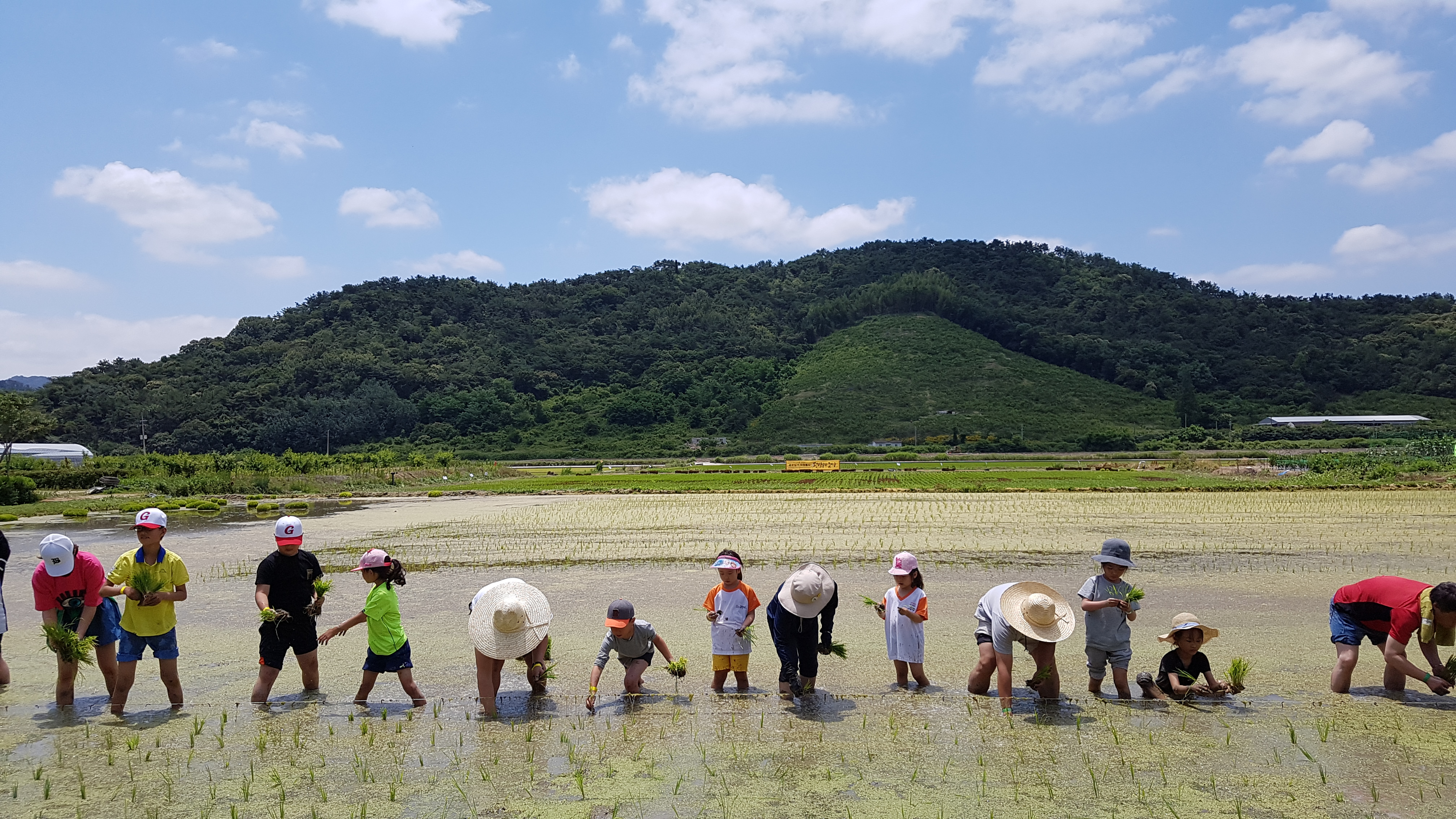 너무  이쁜 하늘 ~~모내기하는 딸
