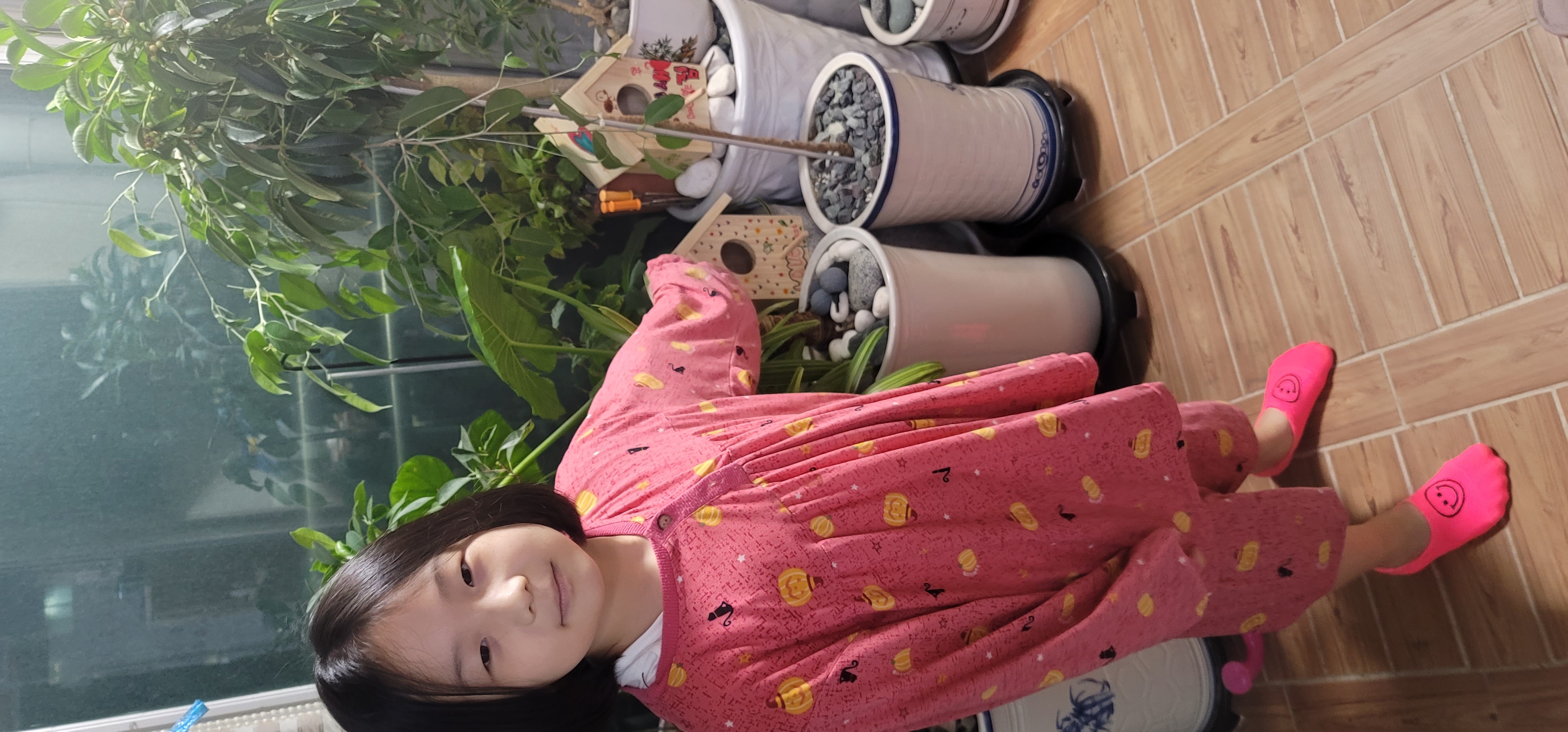 우리집에 위치한 새집작품