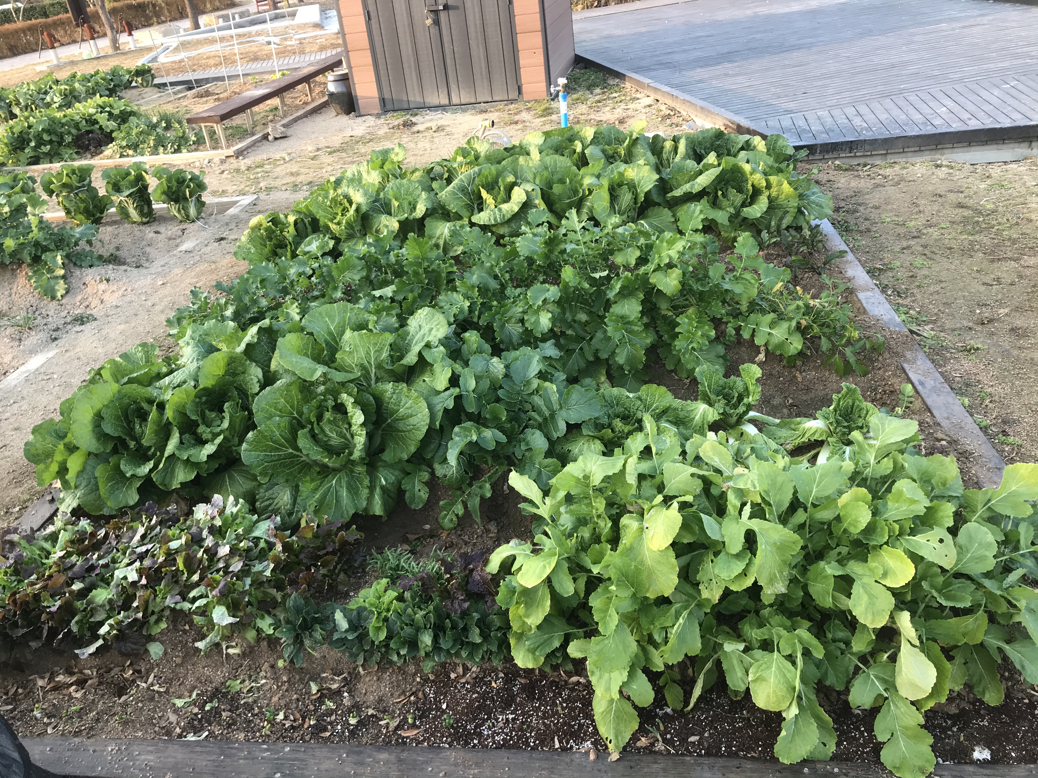 봉하마을과 함께하는 행복한 시간 사진