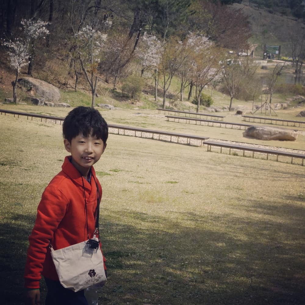 숲 밧줄놀이 사진