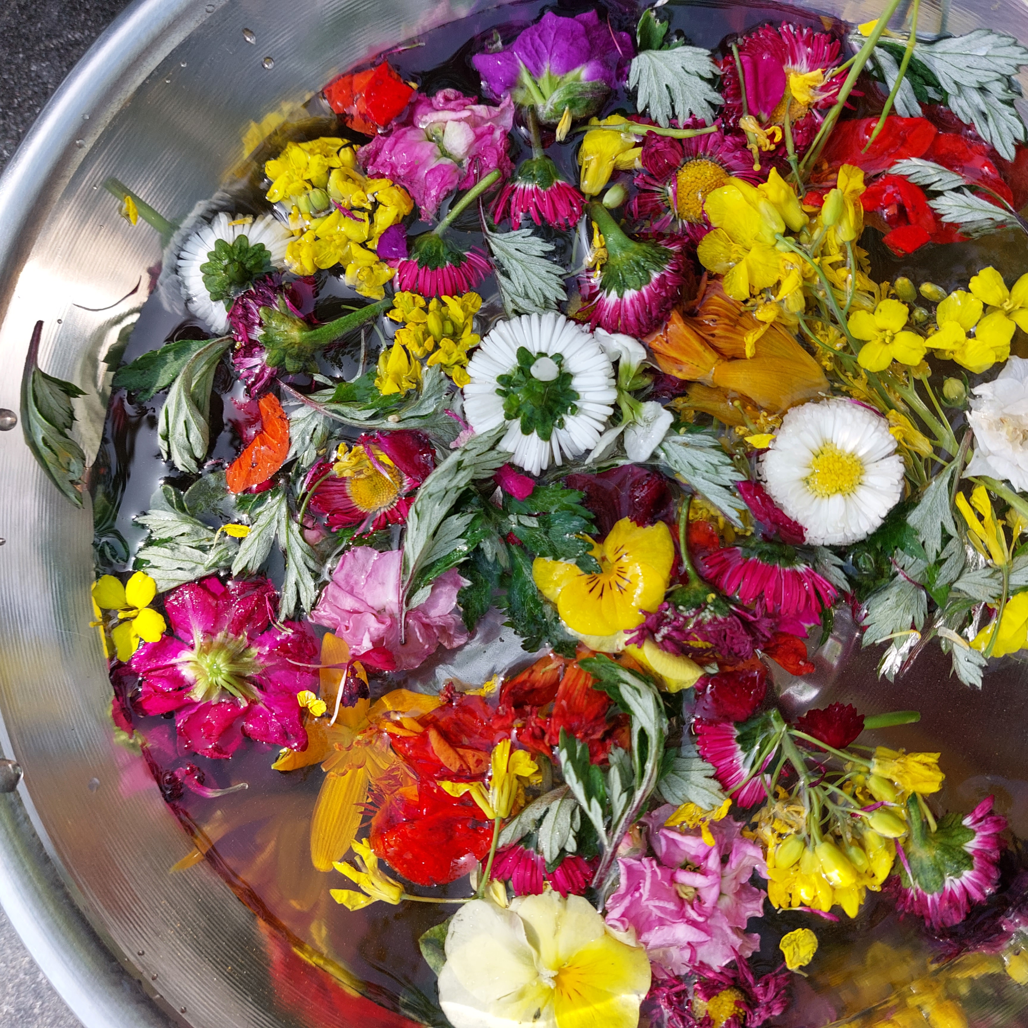 언제나 가도 즐거운 곳입니다.  사진