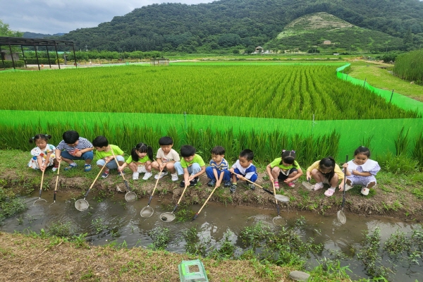[지속가능발전]생태나들이–진영엘림어린이집(7/8)