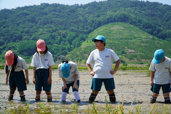 [연대]경상남도 초등학교 3학년 환경체험학습–사포초등학교(6/13)