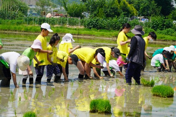 [연대]경상남도 초등학교 3학년 환경체험학습–생림초등학교(6/14)