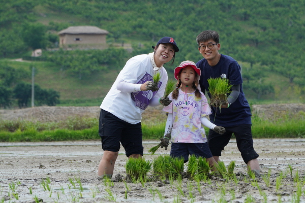 [논습지]친환경손모내기체험(6/15)