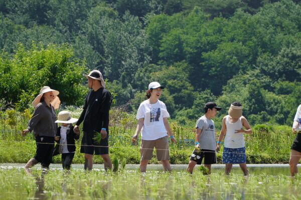 [논습지]친환경손모내기체험(6/16)