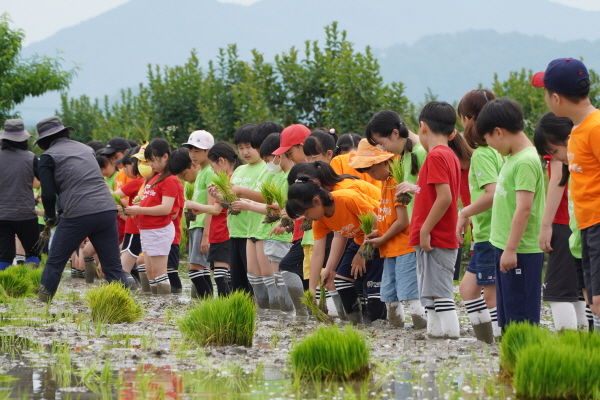 [연대]경상남도 초등학교 3학년 환경체험학습–봉황초등학교(6/17)
