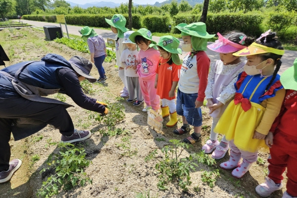 [지속가능발전]어린이텃밭–바른어린이집(5/10)