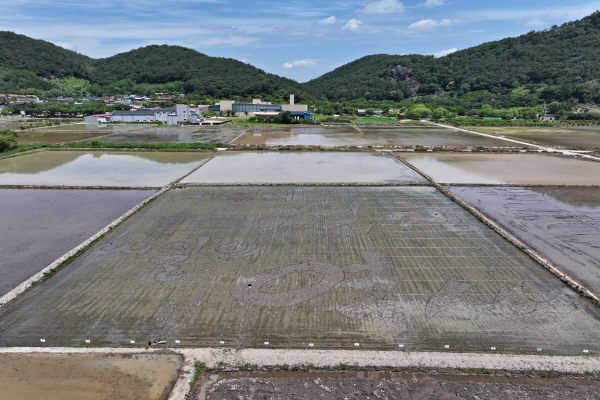 2024 캐릭터논 스케치 모내기(6/1)