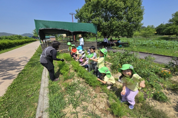 [지속가능발전]봉하어린이텃밭–바른어린이집(6/12)