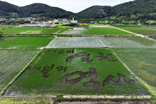 2024 캐릭터논 촬영(6/25)