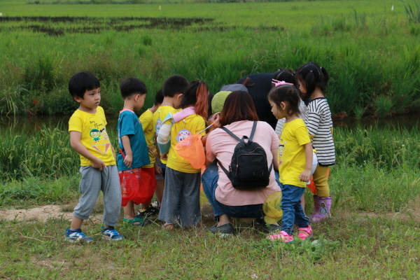 진영다솔 어린이집