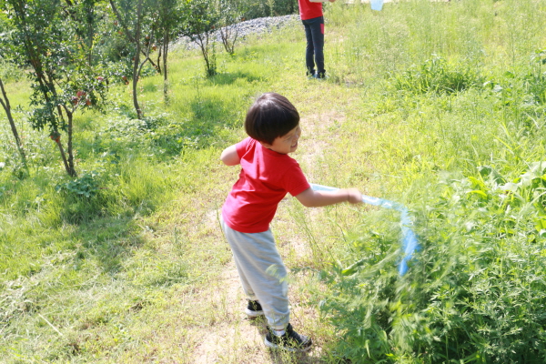 관동아이숲 어린이집