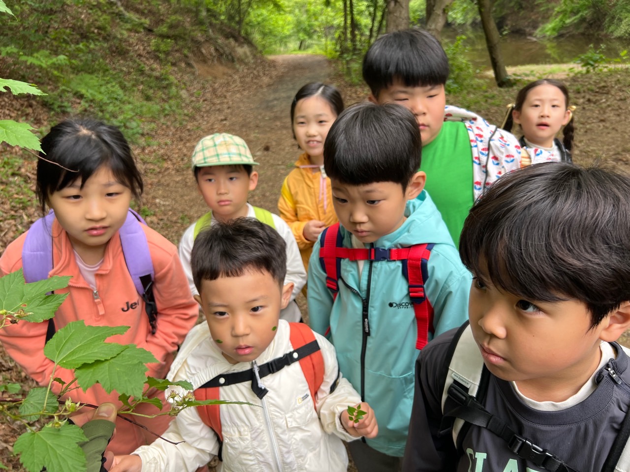 [지속가능발전] 봉하 숲탐험대 활동 사진(5/11)