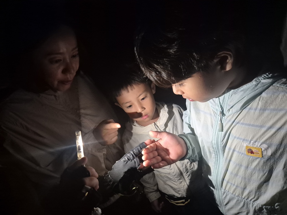 [연대]늦반딧불이(9/22)